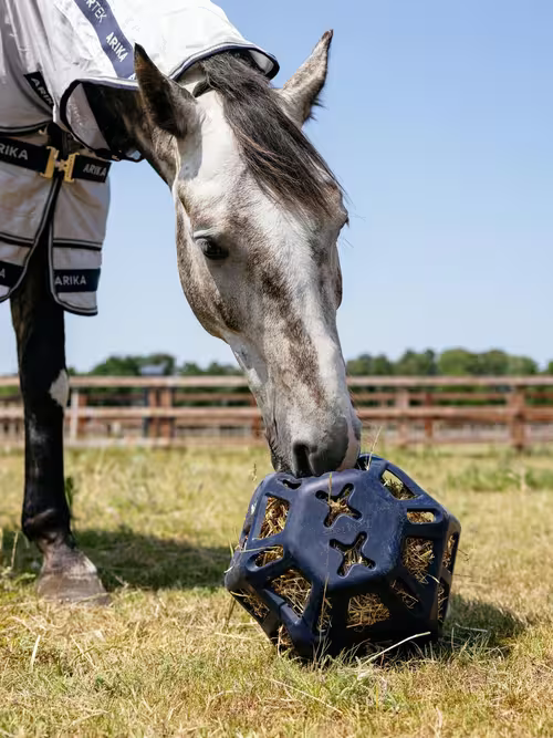 LeMieux Hay ball - Navy