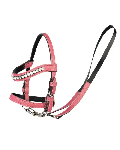 My Hobby Horse trense - Pink Glitter